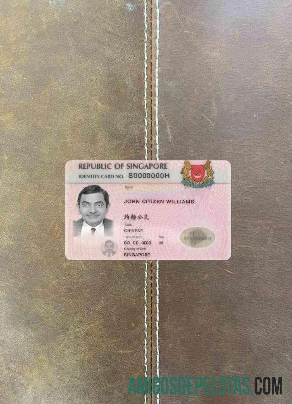 Singapore ID (updated) olhar de foto frente modelo